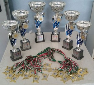 Foto2-Coppe-e-medaglie.jpg